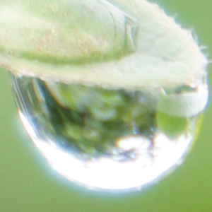 10071305