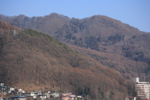 11020402